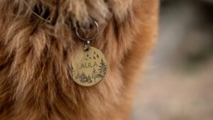 Chapita identificativa para perro - Aluminio anodizado